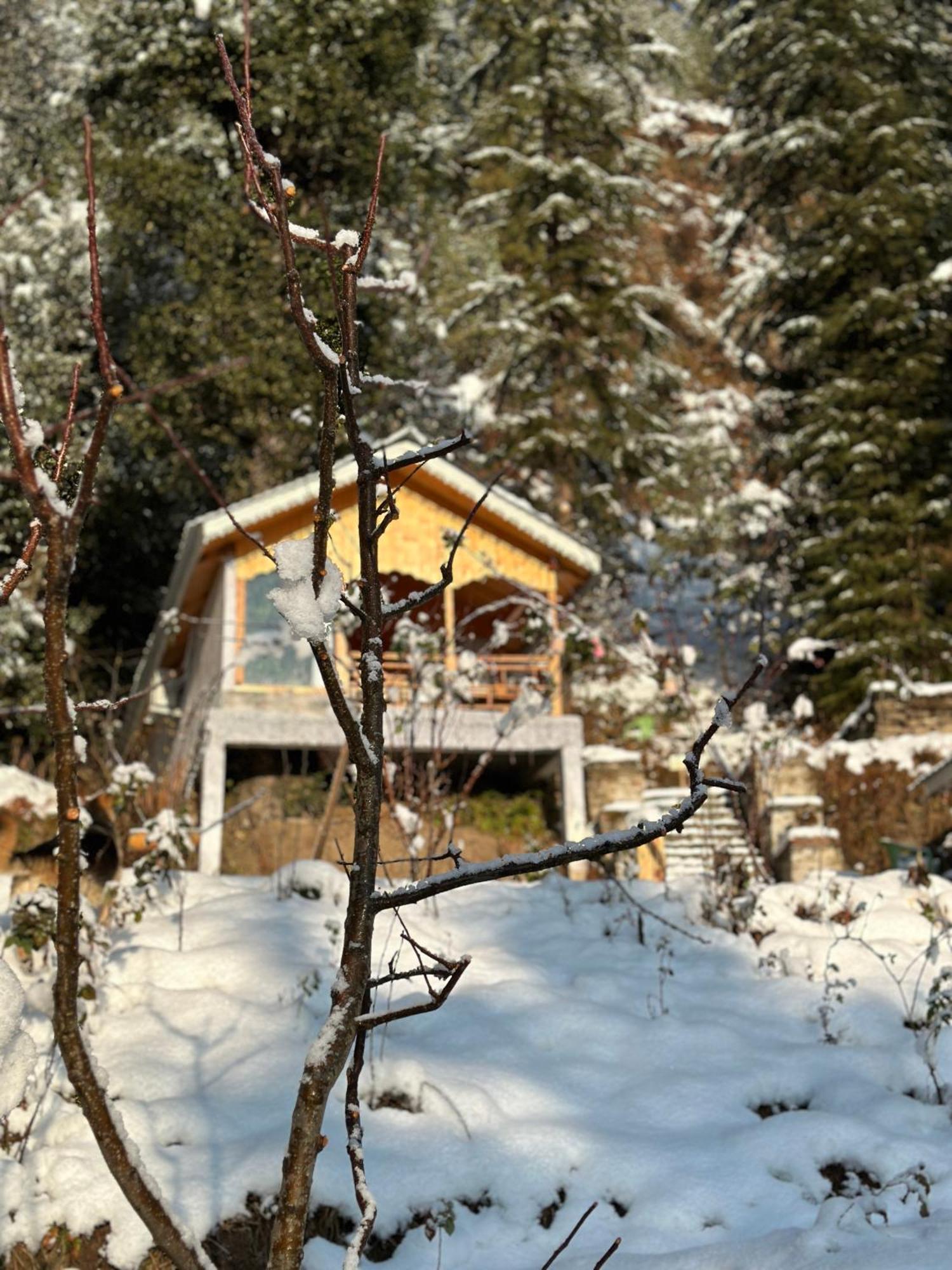 Tree House Latos Tandi Hotel Jibhi Ngoại thất bức ảnh
